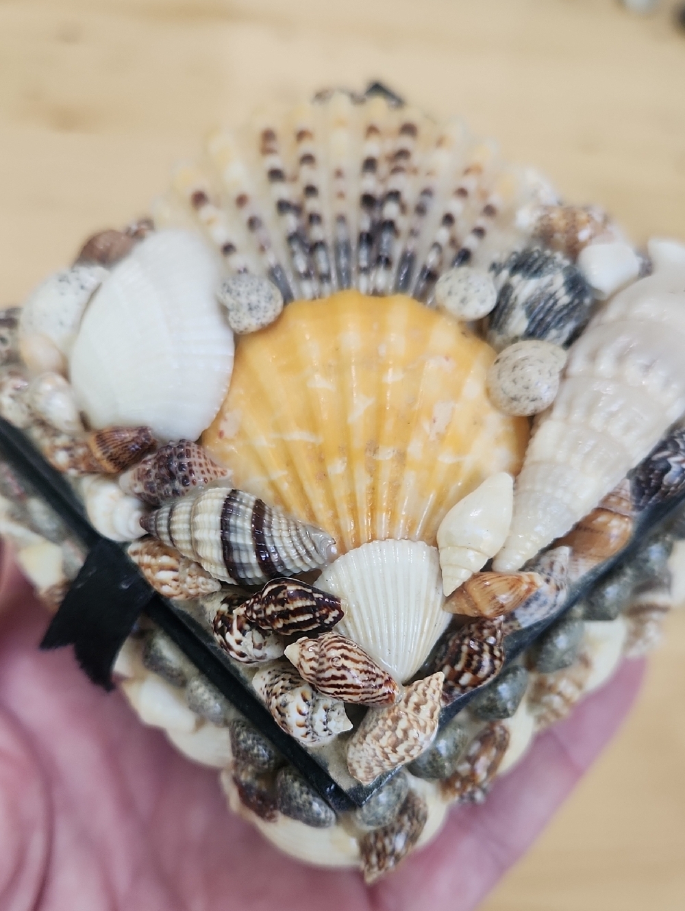 Vintage Sea Shell Trinket Box Black Velvet Lined Coastal Jewelry Keepsake Case - Picture 12 of 13